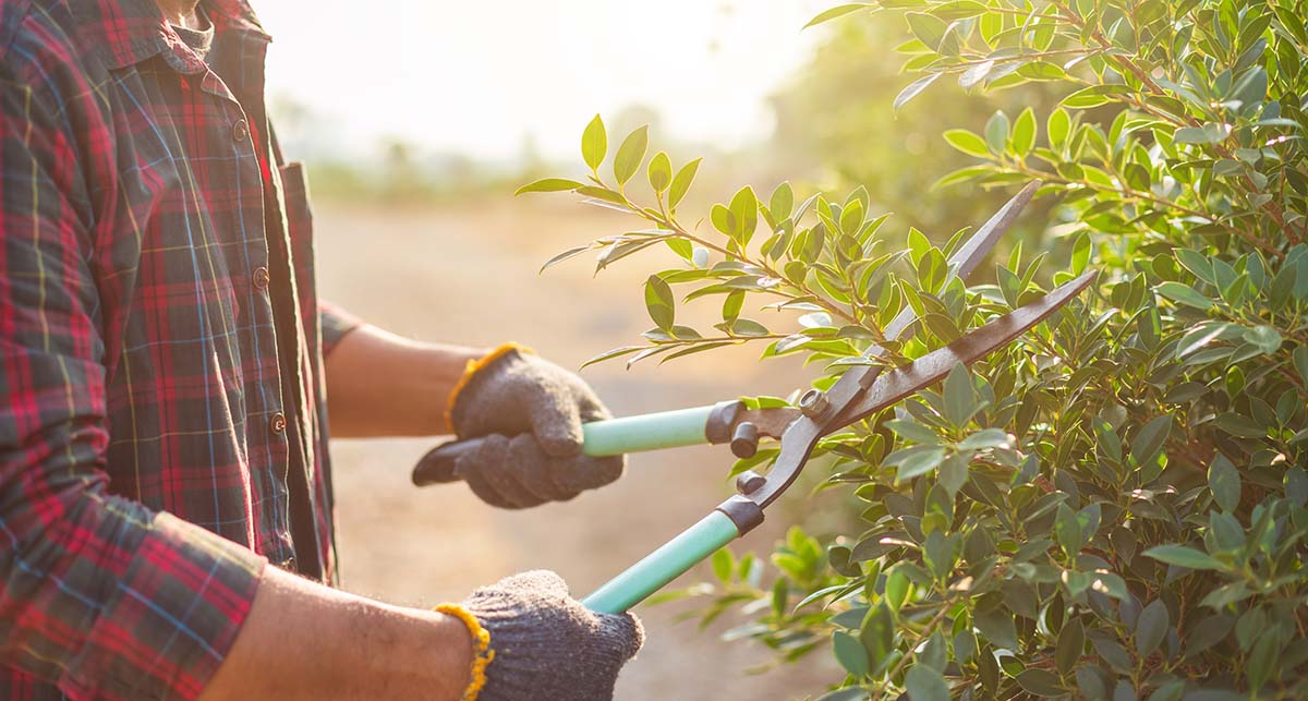 landscaper