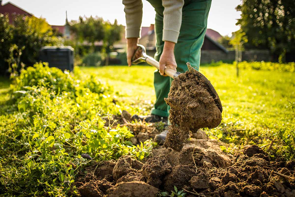 gardening